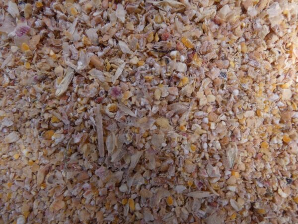 Poulet starter 10kg