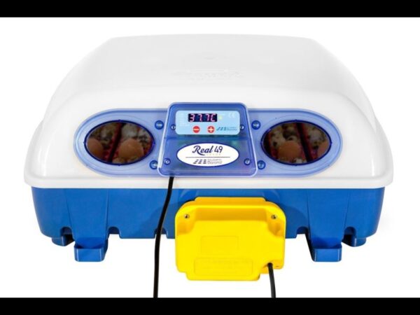 Couveuse automatique 49 oeufs