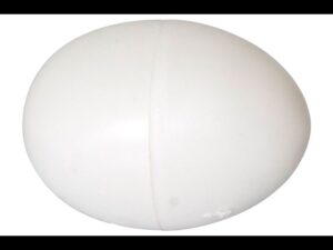 Œufs en plastique pour poules