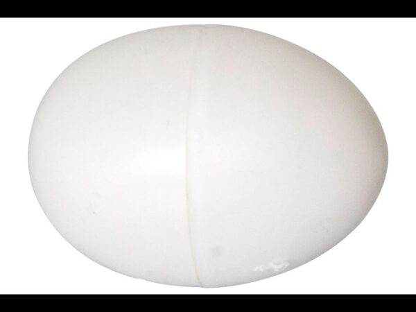 Œufs en plastique pour poules