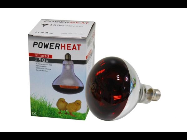 Powerheat ampoule infrarouge,r125,150w rouge