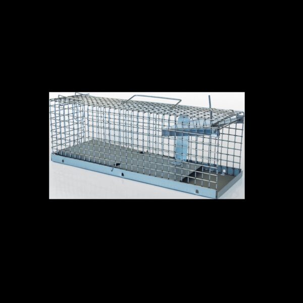 Piège basculant pour rats