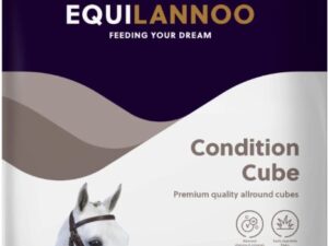 Condition cube 20kg