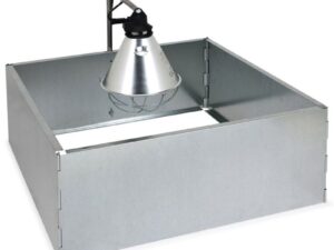 Parc d'elevage poussins galvanisse