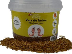 Vers de farine seau 5,5 l