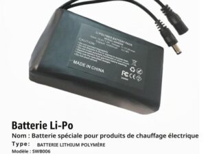 Batterie lithium-ion 12 v 10 000 mah